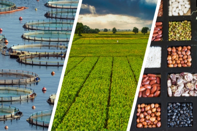 255 milyon lira çiftçilerin hesabında