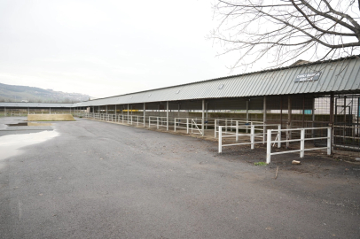 Bursa Yenişehir'de canlı hayvan pazarı yeniden açıldı