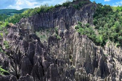 Korunan alan sayısı 692'ye yükseldi