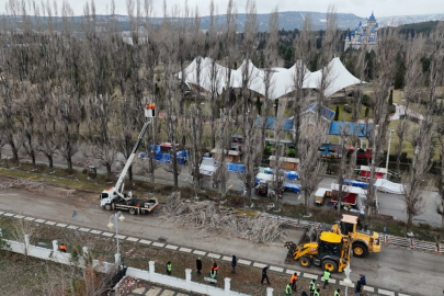 Eskişehir Büyükşehir'den ağaçlara gençleştirme çalışması