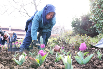 Bursa Osmangazi’nin her bir noktası çiçek açtı
