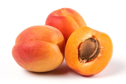 Bitkisel ürünlerde en yüksek yeterlilik kayısı ve zerdalide