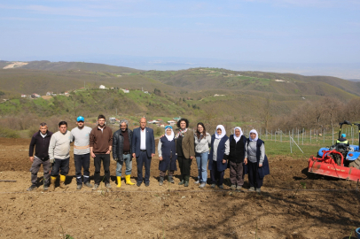Bursa Nilüfer’de atıl araziler bereketleniyor